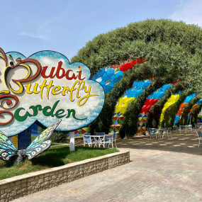 Butterfly Garden in Dubai: Gallery Photo n6bgo9 Butterfly Garden in Dubai: Gallery Photo n6bgo9