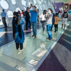 Photo from Dubai Frame in Dubai: Gallery Photo 38vjrq