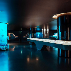 Photo from The View at The Palm - General Admission - Non Prime Hours in Dubai: Gallery Photo z7yo1d