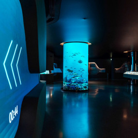 Photo from The View at The Palm - General Admission - Non Prime Hours in Dubai: Gallery Photo zw5odk