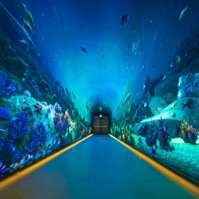 Photo from زيارة منصة " ذا فيو" في نخلة جميرا + نكست ليفل عبر المسار السريع (ساعات الذروة) in دبي: Gallery Photo n6bmqy