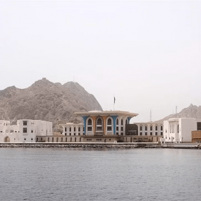 Dolphins Watching in Muscat: Gallery Photo zooj6y