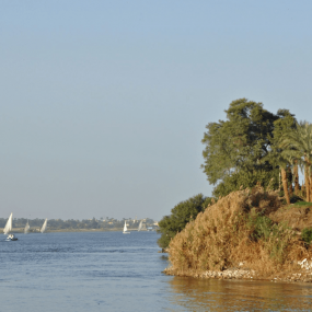 Luxor day tour with Nile cruise and lunch from Hurghada in Hurghada: Gallery Photo nk587w