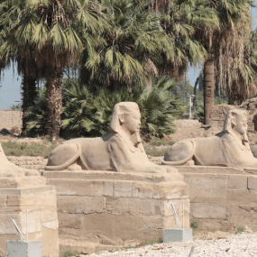 Photo from Luxor day tour with Nile cruise and lunch from Hurghada in Hurghada: Gallery Photo z7ymg8