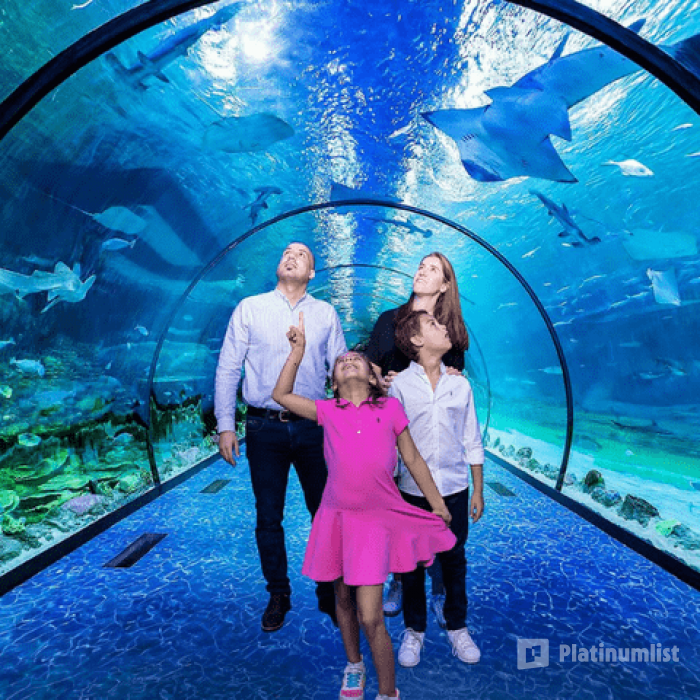 The National Aquarium Abu Dhabi in Abu Dhabi: Gallery Photo 34km7y