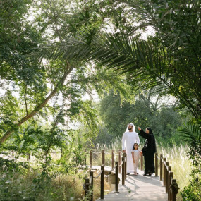 Al Noor Island - Sharjah in Sharjah : Galerie de photos 3b8kx5 Al Noor Island - Sharjah in Sharjah : Galerie de photos 3b8kx5