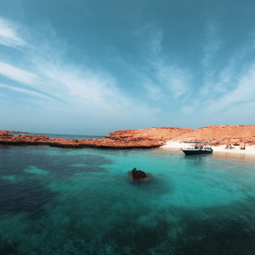 Private group tour of Daymaniyat Islands in Muscat: Gallery Photo zooj9e