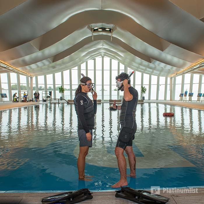 Deep Dive Dubai Surface Snorkeling Experience in Dubai : Galerie de photos n14myb