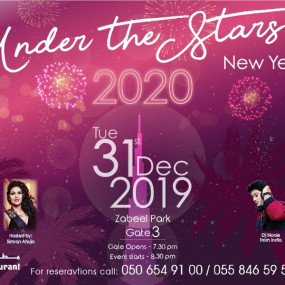 New Year's Eve Under the Stars Desi Night in Dubai: Gallery Photo 3ydd43