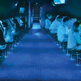 Photo de Ain Sokhna Full-day Snorkeling Cruise and Submarine with Private Return Transfer From Cairo dans Cairo : Galerie Photo zm4gx6