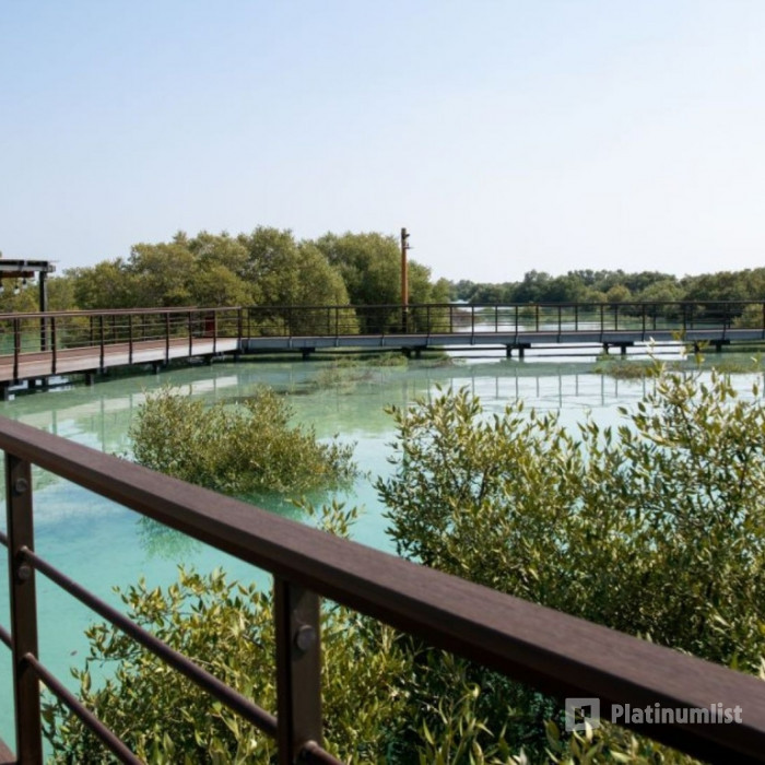 Jubail Mangrove Park - Boardwalk Experience in Abu Dhabi: Gallery Photo 38v8rq