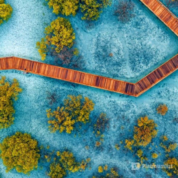 Jubail Mangrove Park - Boardwalk Experience in Abu Dhabi : Galerie de photos zgkdjr