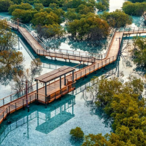 Jubail Mangrove Park - Boardwalk Experience in Abu Dhabi: Gallery Photo 3jk4yv