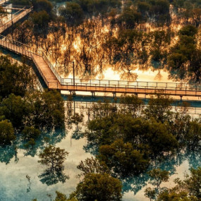 Photo de Jubail Mangrove Park - Boardwalk Experience dans Abu Dhabi : Galerie Photo 3x8dp1