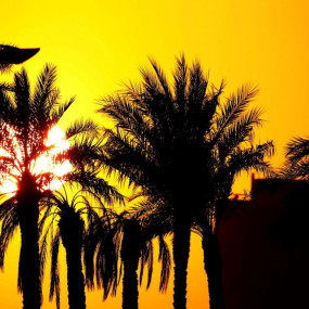 Photo de Yas Marina Circuit Venue Guided Tour dans Abu Dhabi : Galerie Photo 3e52b9