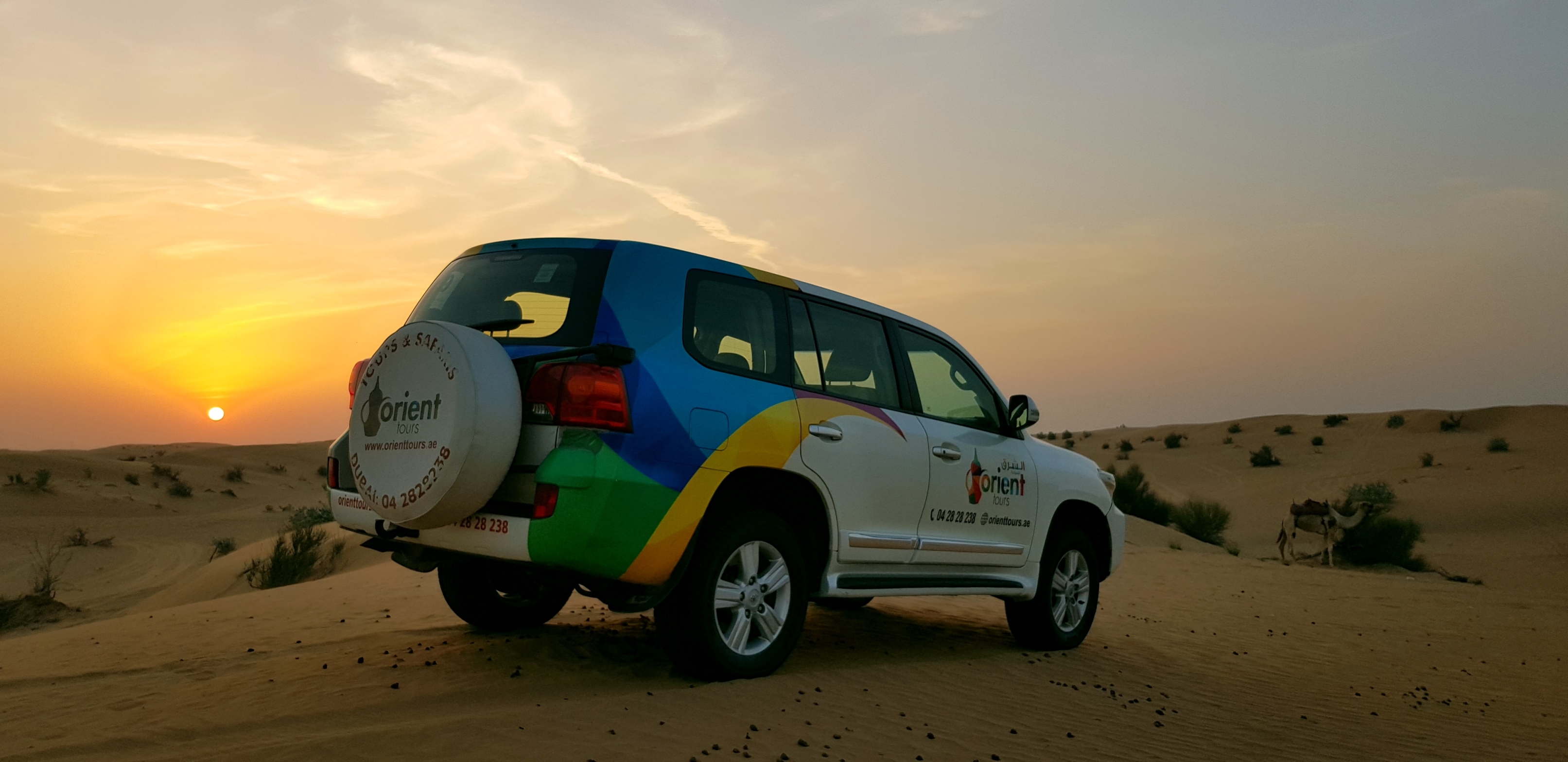 Photo de Sunrise and Wildlife Experience in the Desert dans Dubai : Galerie Photo 3y5y5b