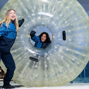 Ski Dubai: Snow Plus pass in Dubai: Gallery Photo 35d2gd