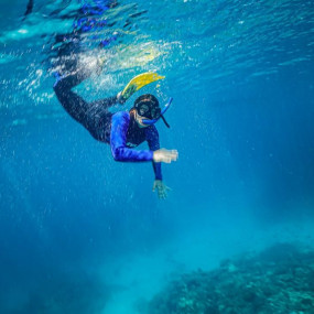 Try Scuba Diving in Jeddah in Jeddah: Gallery Photo n14y9x Try Scuba Diving in Jeddah in Jeddah: Gallery Photo n14y9x