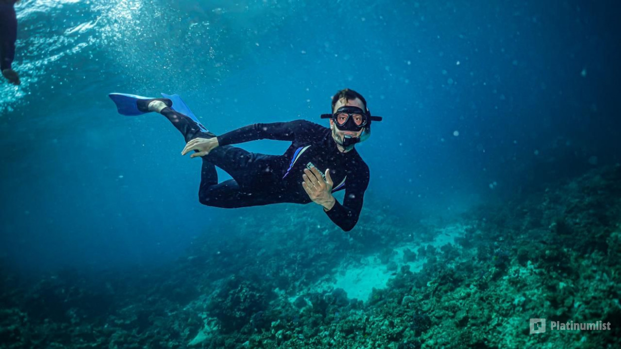 Snorkeling Daily Trips in Jeddah in Jeddah: Gallery Photo z7ydg8