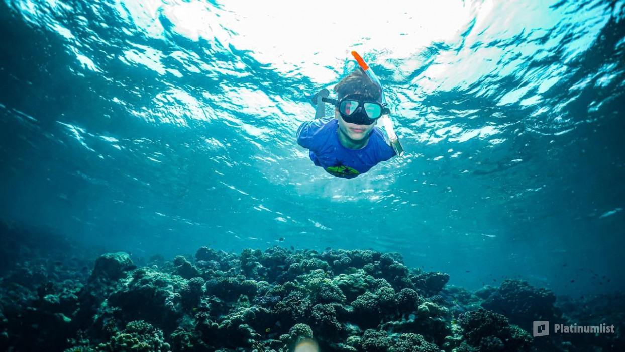 Snorkeling Daily Trips in Jeddah in Jeddah : Galerie de photos 3e5xdq Snorkeling Daily Trips in Jeddah in Jeddah : Galerie de photos 3e5xdq