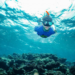 Snorkeling Daily Trips in Jeddah in Jeddah: Gallery Photo 3e5xdq Snorkeling Daily Trips in Jeddah in Jeddah: Gallery Photo 3e5xdq