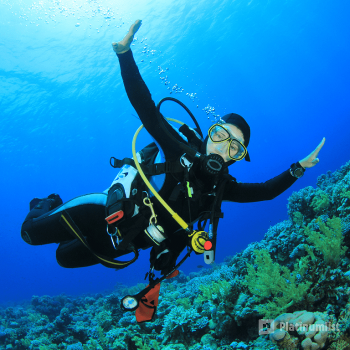 Bayada Daily Trips (Maldives of Jeddah) in Jeddah: Gallery Photo n08q9w