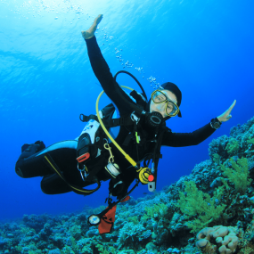 Bayada Daily Trips (Maldives of Jeddah) in Jeddah: Gallery Photo n08q9w Bayada Daily Trips (Maldives of Jeddah) in Jeddah: Gallery Photo n08q9w