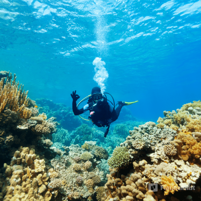 Bayada Daily Trips (Maldives of Jeddah) in Jeddah: Gallery Photo zv5jrb