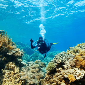 Bayada Daily Trips (Maldives of Jeddah) in Jeddah: Gallery Photo zv5jrb Bayada Daily Trips (Maldives of Jeddah) in Jeddah: Gallery Photo zv5jrb