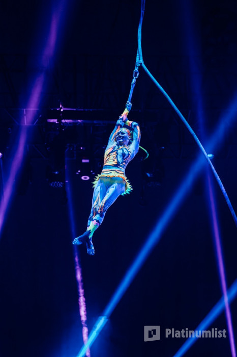 Pluma Show/Circus in Dubai in Dubai: Gallery Photo zoov5e