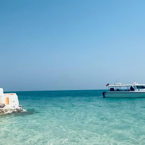 Jarada Boat Trip in Manama : Galerie de photos zm46j8 Jarada Boat Trip in Manama : Galerie de photos zm46j8