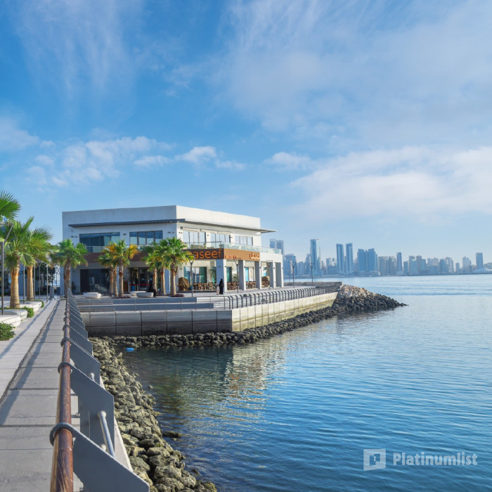 Family Private Boat Tour to Al Dar Island in Manama: Gallery Photo 3ped7x