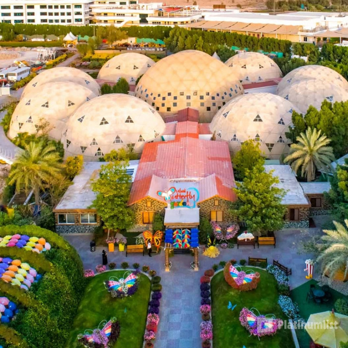 zv5w0b استديو الصور :دبي في تذكرة كومبو : حديقة المعجزة + حديقة الفراشات