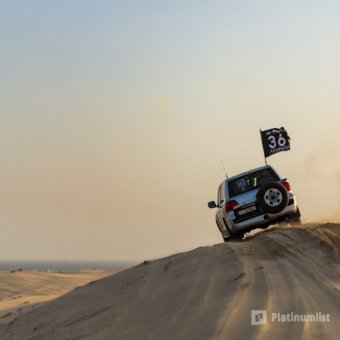 Desert Safari & Keshta in Doha : Galerie de photos zoo10e