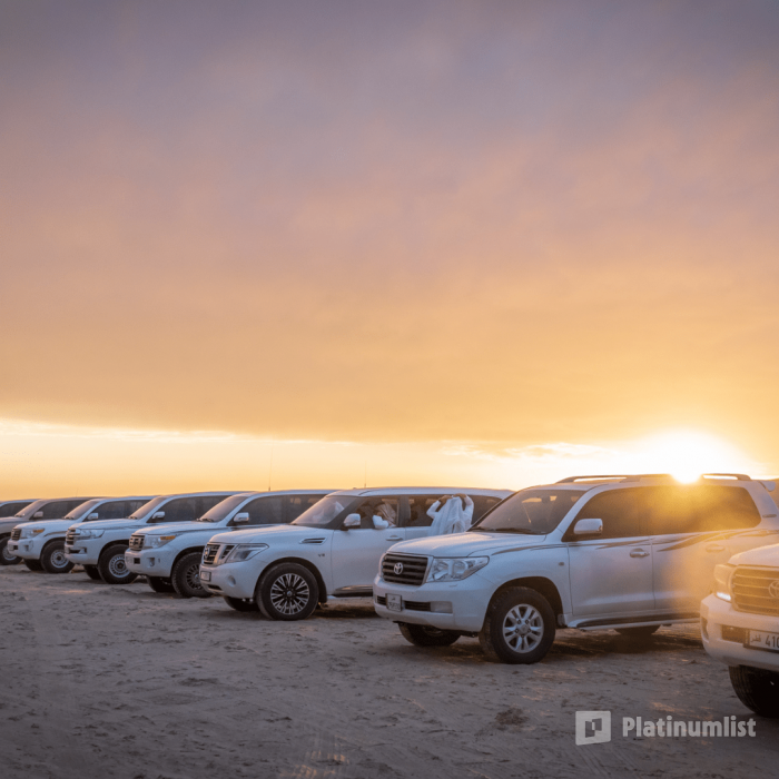 Quickie to the Desert in Doha: Gallery Photo zoo12e