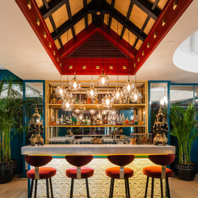 35dqe6 استديو الصور :دبي في عشاء غالا وحفل كرنفال ليلة رأس السنة في دوسيت تاني دبي