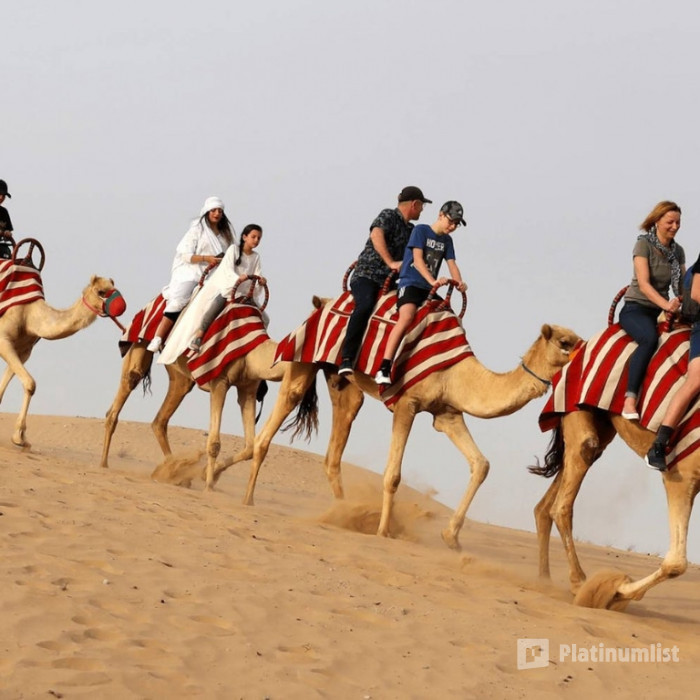 nk5420 استديو الصور :دبي في ركوب الخيل مع عشاء بوفيه مفتوح وعروض ترفيهية