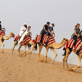 Horse Riding with Open Buffet Dinner & Shows in Dubai : Galerie de photos nk5420