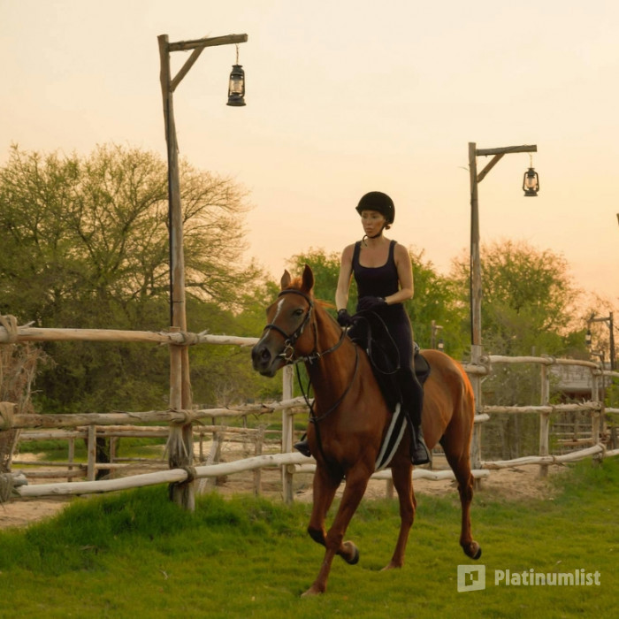 Horse Riding with Open Buffet Dinner & Shows in Dubai : Galerie de photos n6by1x Horse Riding with Open Buffet Dinner & Shows in Dubai : Galerie de photos n6by1x