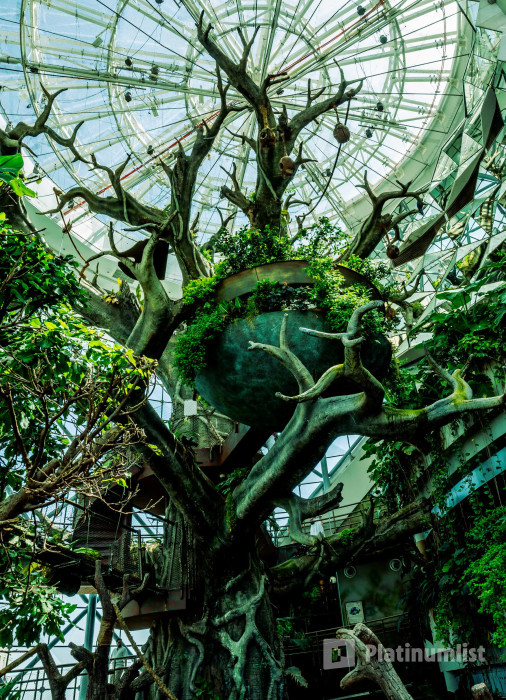 The Green Planet Dubai in Dubai: Gallery Photo 3dk4jb