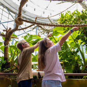 z7ybdg استديو الصور :دبي في الكوكب الأخضر دبي