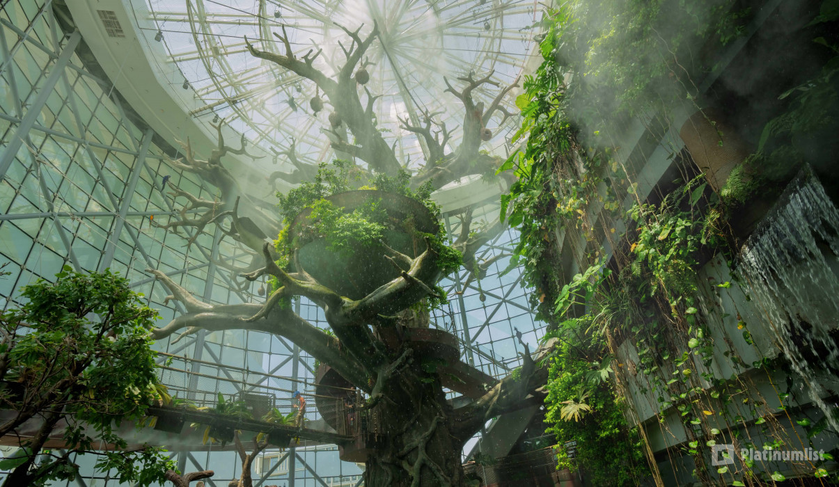 3r598v استديو الصور :دبي في الكوكب الأخضر دبي