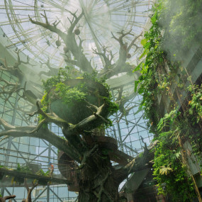 3r598v استديو الصور :دبي في الكوكب الأخضر دبي