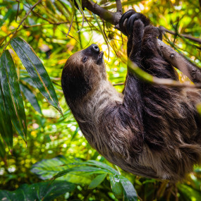 Photo from The Green Planet Dubai in Dubai: Gallery Photo 3per4q