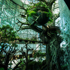 Photo from The Green Planet Dubai in Dubai: Gallery Photo zgk0y1