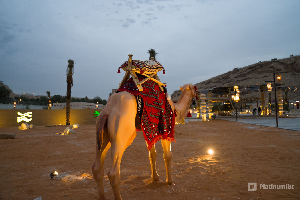 Dhom Altlasy at Ramlina in Riyadh in Riyadh: Gallery Photo zodpp4