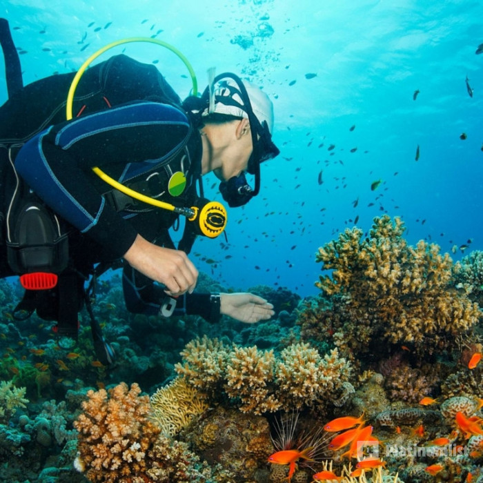 Diving Experience in Khasab in Khasab: Gallery Photo zodpr6