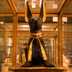 Photo from من الغردقة: جولة ليوم كامل في القاهرة لاستكشاف الأهرامات وأبو الهول والمتحف والبازار in الغردقة: Gallery Photo z94rk8