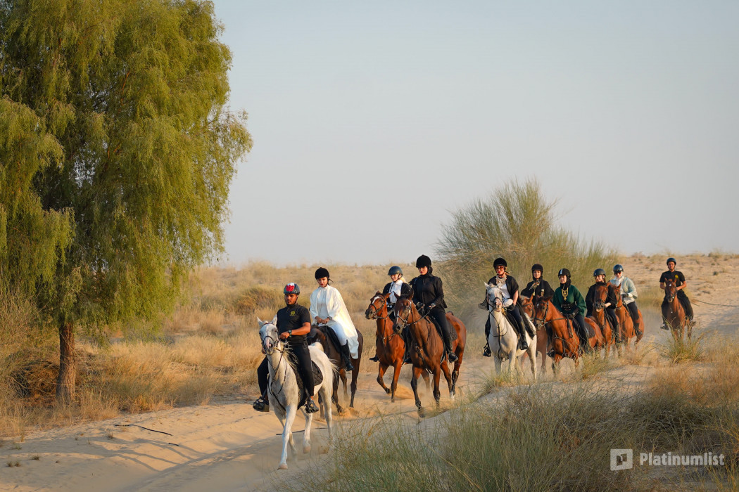 Horse Riding at Al Marmoom Oasis With Transfer in Dubai : Galerie de photos zm0pmy
