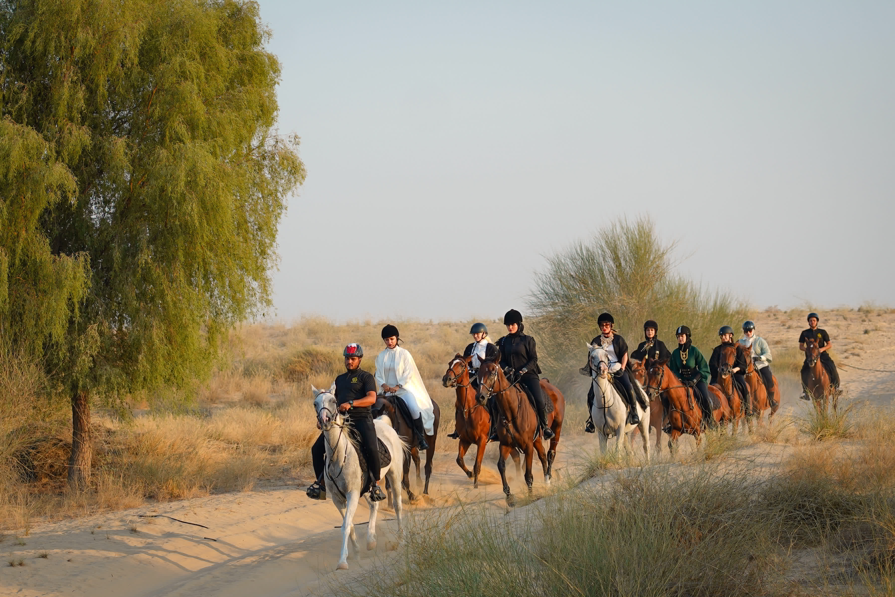 Photo de Horse Riding at Al Marmoom Oasis With Transfer dans Dubai : Galerie Photo zm0pmy